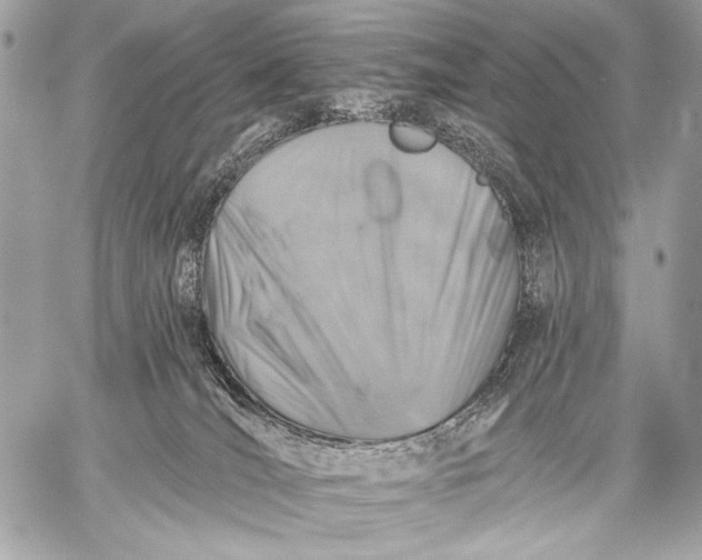 X0000059040036200510281553