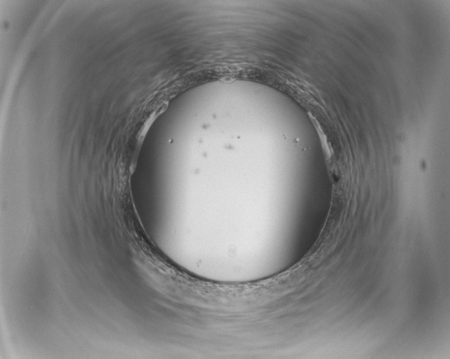 X0000059040037200510281553