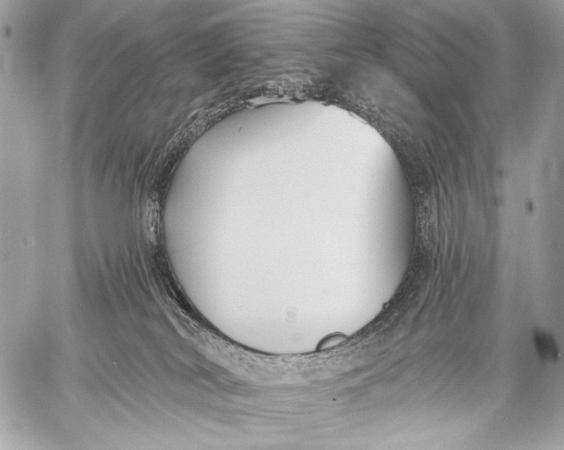 X0000059040038200510281553