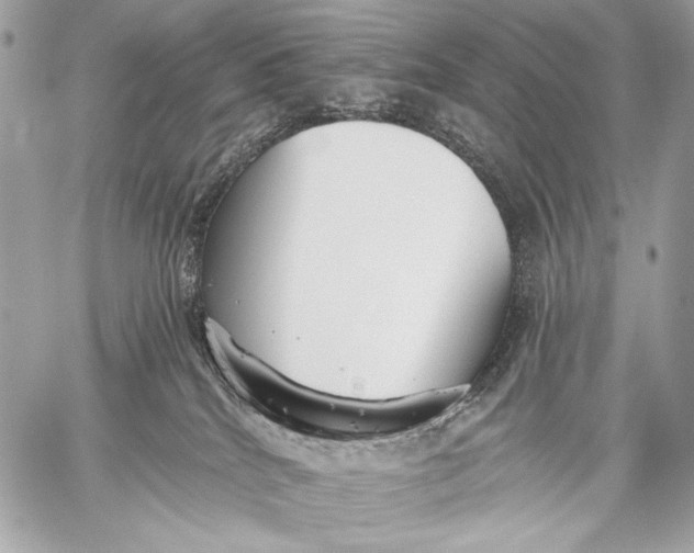 X0000059040040200510281553