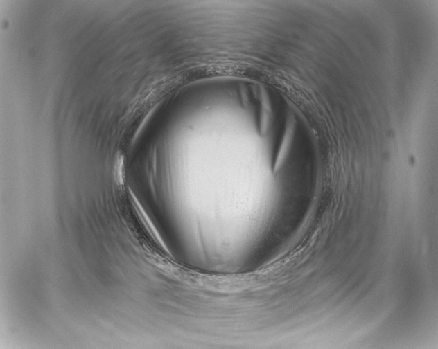 X0000059040041200510281553