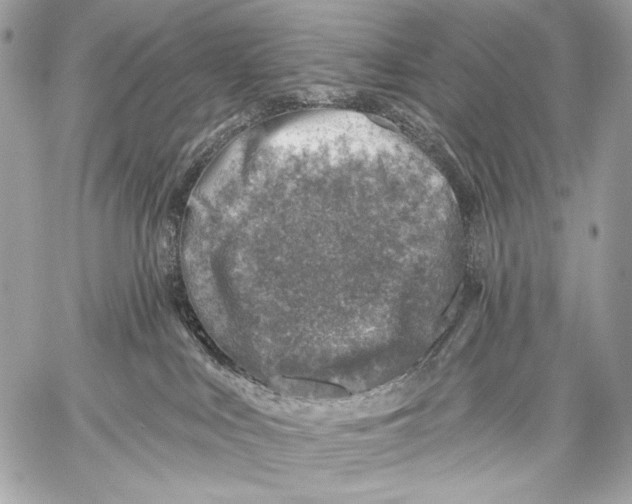 X0000059040043200510281553