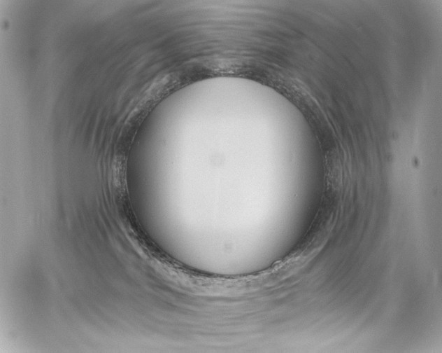 X0000059040044200510281553