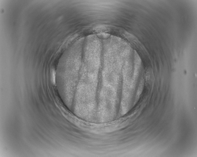 X0000059040046200510281553