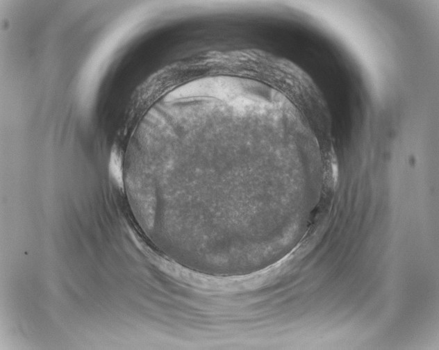 X0000059040047200510281553