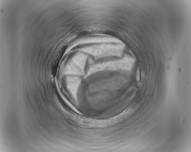 X0000059040048200510281553