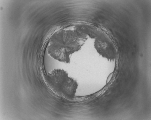 X0000059040049200510281552