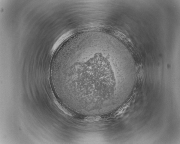 X0000059040051200510281552