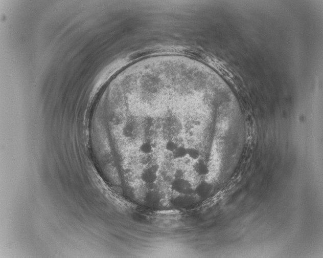 X0000059040053200510281552