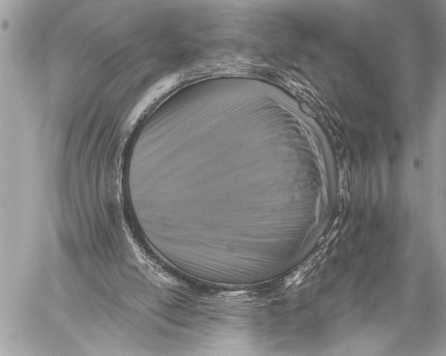 X0000059040054200510281552