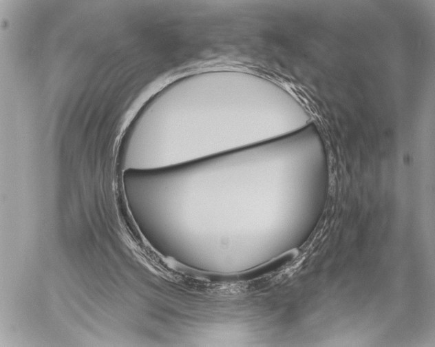 X0000059040056200510281552