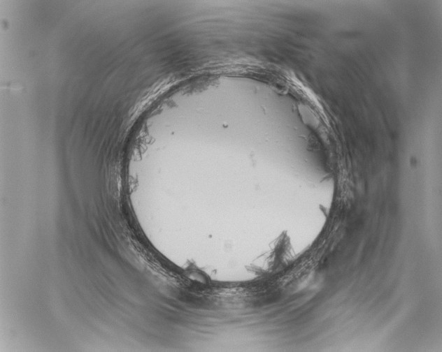 X0000059040059200510281552