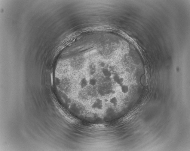 X0000059040061200510281552