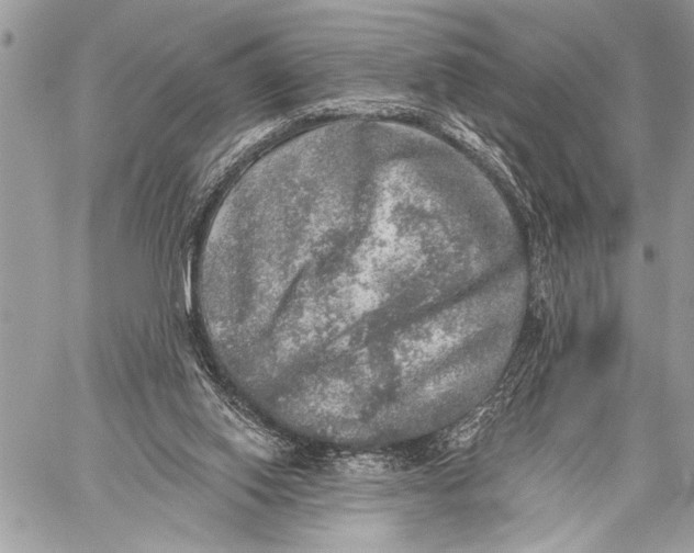 X0000059040062200510281552