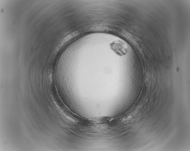 X0000059040063200510281552