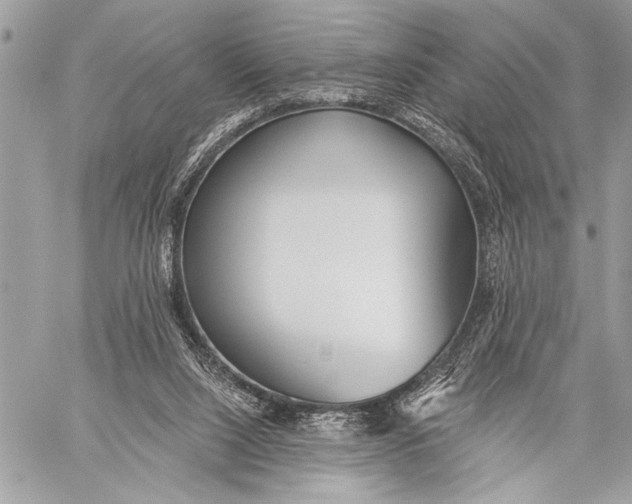 X0000059040064200510281552