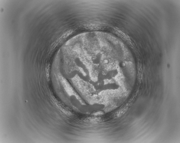 X0000059040065200510281552