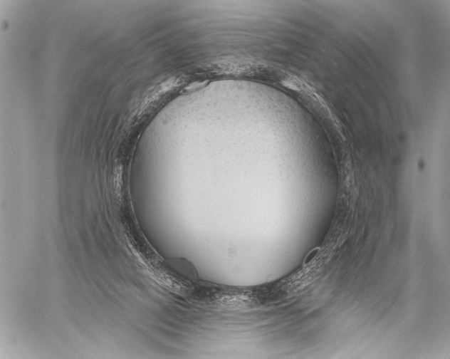 X0000059040066200510281552