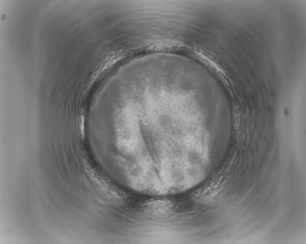 X0000059040067200510281552