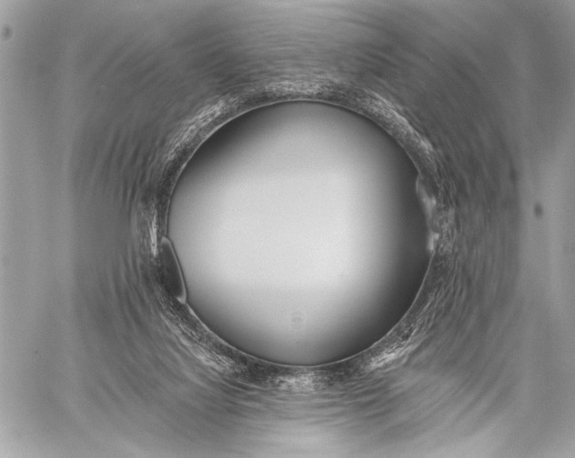 X0000059040068200510281552