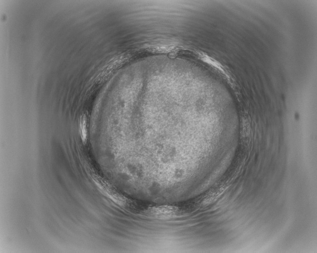 X0000059040069200510281552