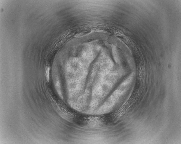 X0000059040070200510281553