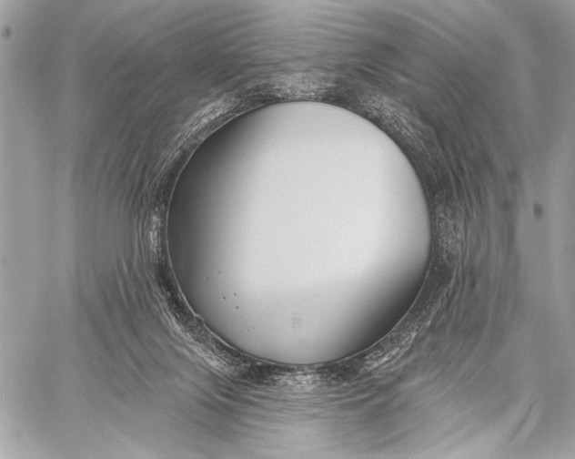 X0000059040071200510281553