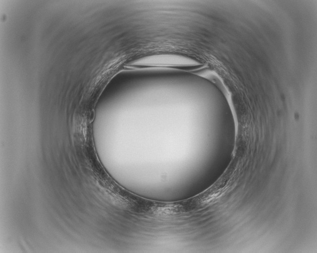 X0000059040072200510281553