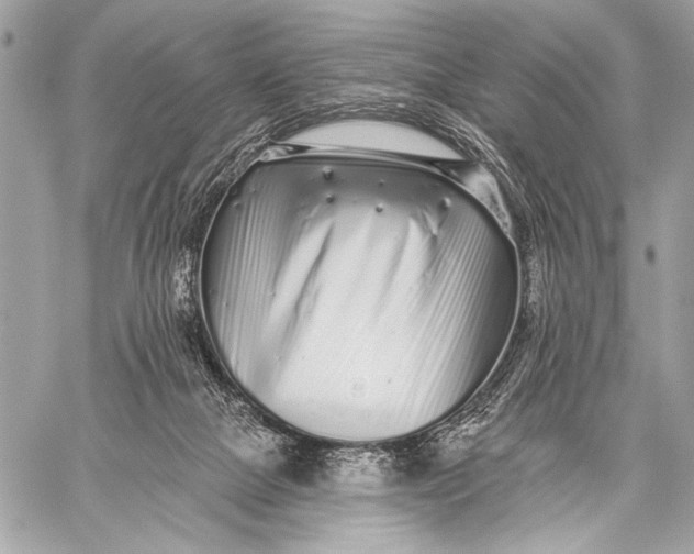 X0000059040073200510281553