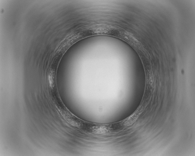 X0000059040074200510281553