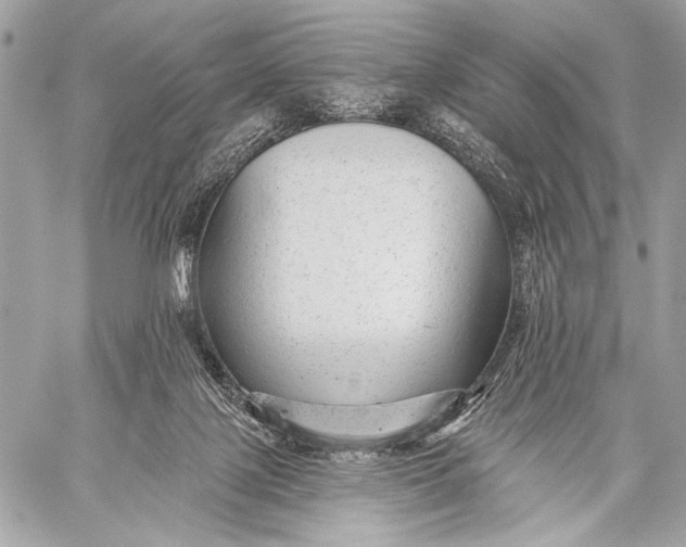 X0000059040075200510281553