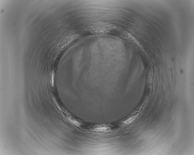 X0000059040076200510281553