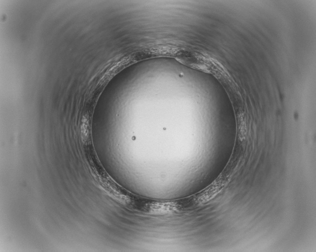 X0000059040077200510281553