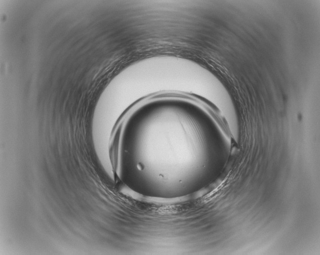 X0000059040078200510281553