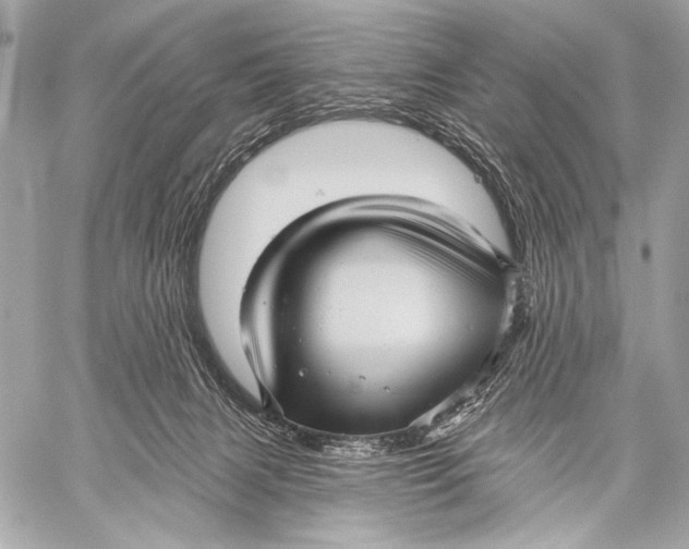 X0000059040079200510281553