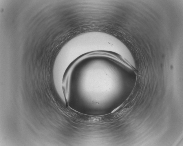 X0000059040080200510281553