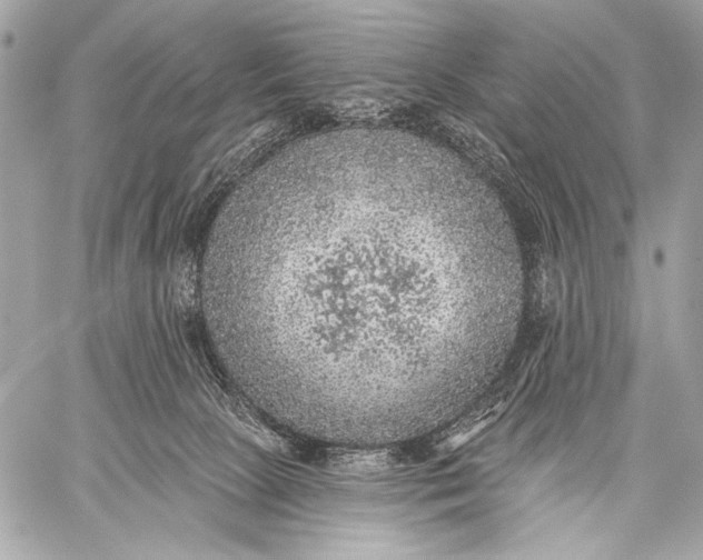 X0000059040081200510281553