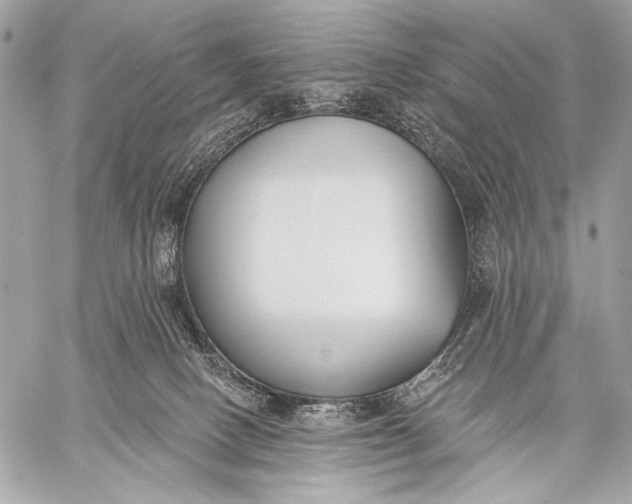 X0000059040082200510281553