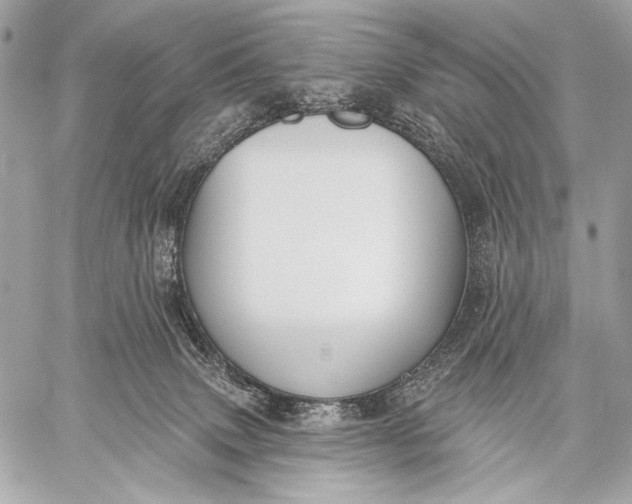 X0000059040083200510281553