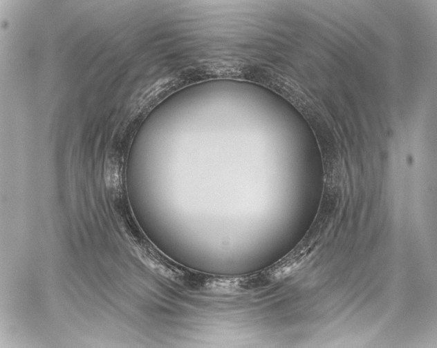 X0000059040084200510281553