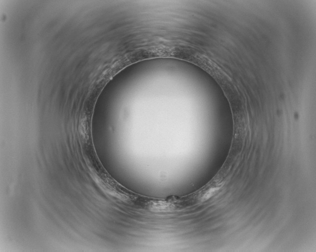 X0000059040088200510281553