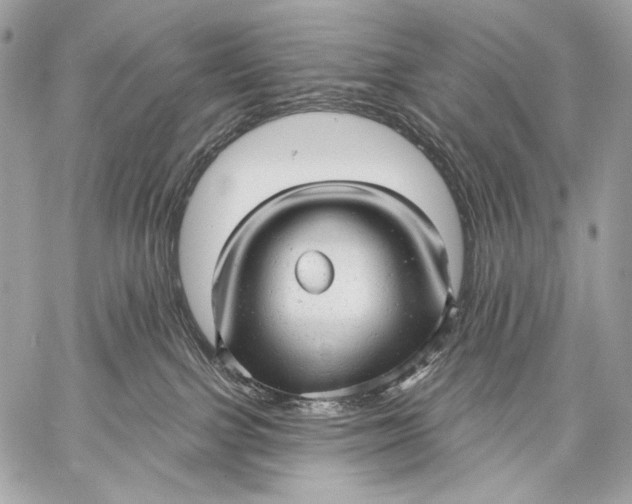 X0000059040091200510281553