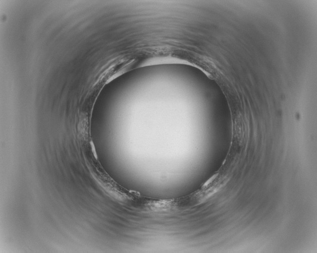 X0000059040092200510281553