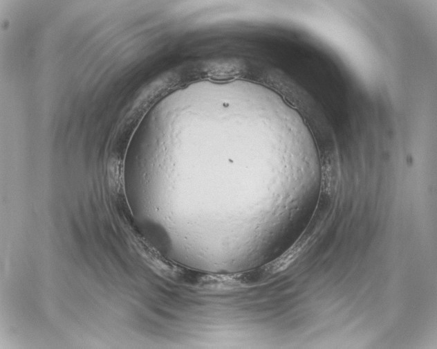 X0000059040093200510281553