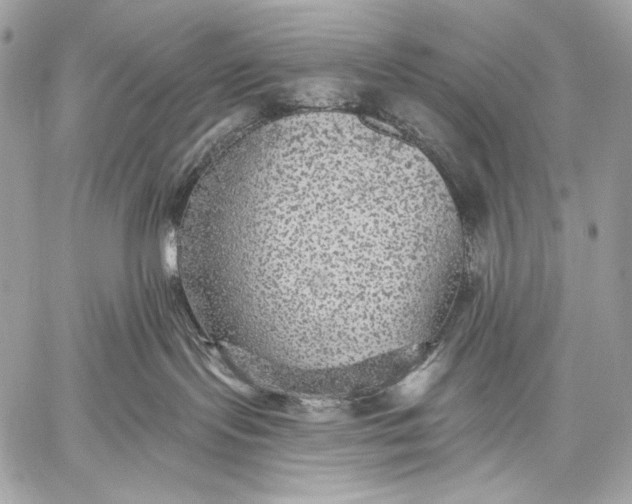 X0000059040095200510281553