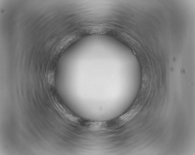 X0000059040096200510281553