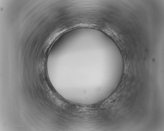 X0000059040098200510281552