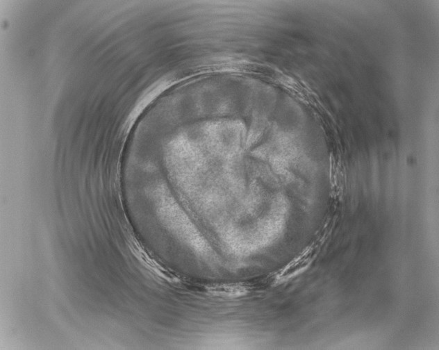 X0000059040099200510281552