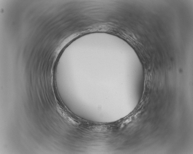 X0000059040100200510281552