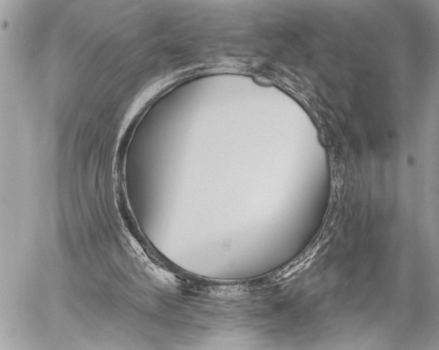 X0000059040102200510281552